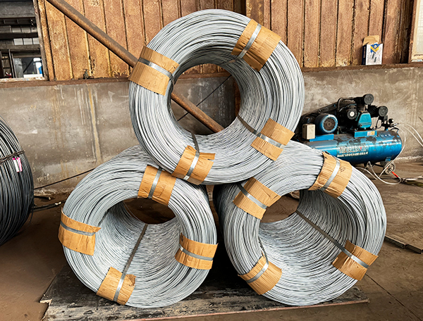 Galvanized Iron Wire